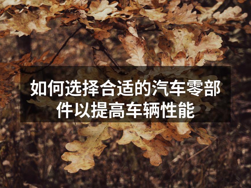 高性能刹车系统