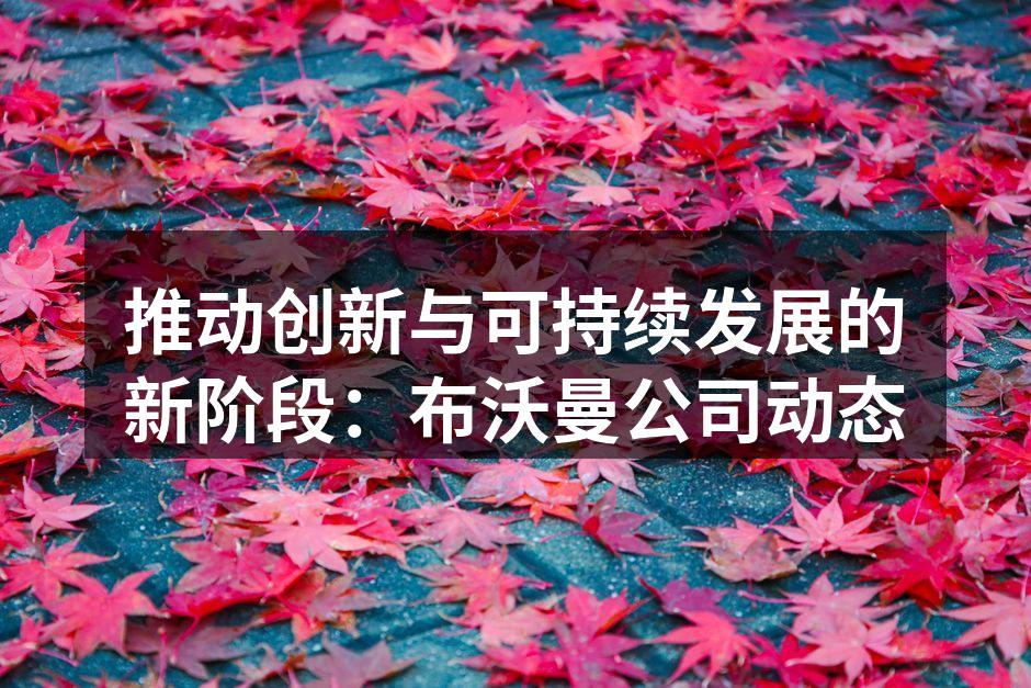 布沃曼新推出的电动物流车