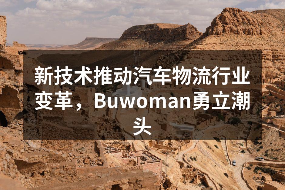 Buwoman智能物流系统操作演示